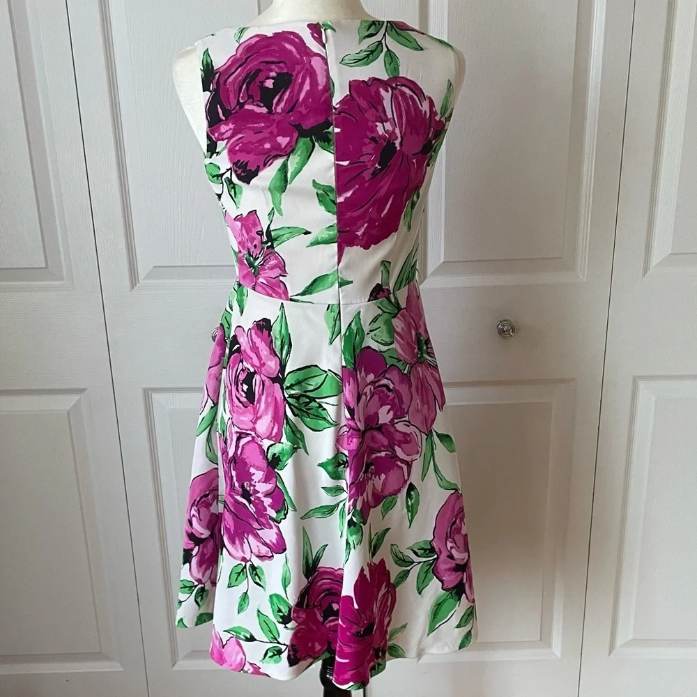 Alyx Dress Womens Fit Flare Stretch Belted Pleated Pink Floral Dress Size 4